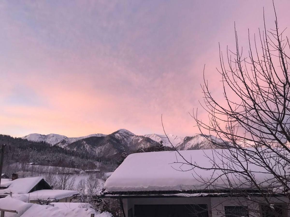 Apartment With A Stunning View Of The Alps - Wohnung Mit Atemberaubenden Blick Auf Die Alpen Fischbachau Ngoại thất bức ảnh